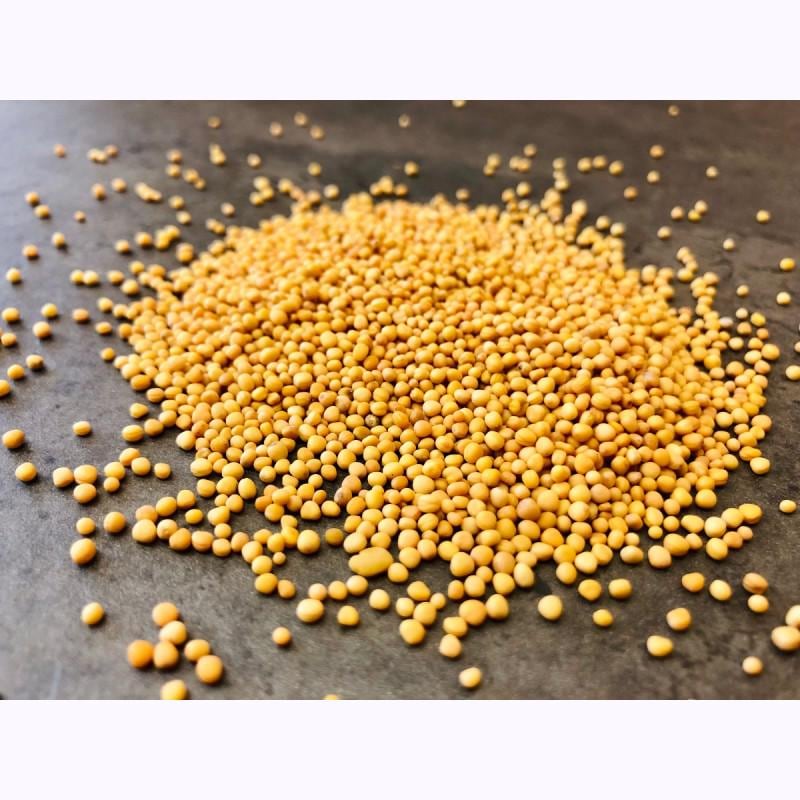Mustard Seeds