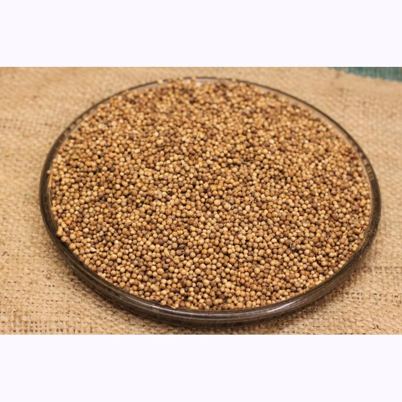 Coriander Seeds