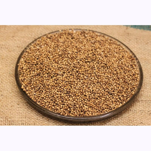 Coriander Seeds