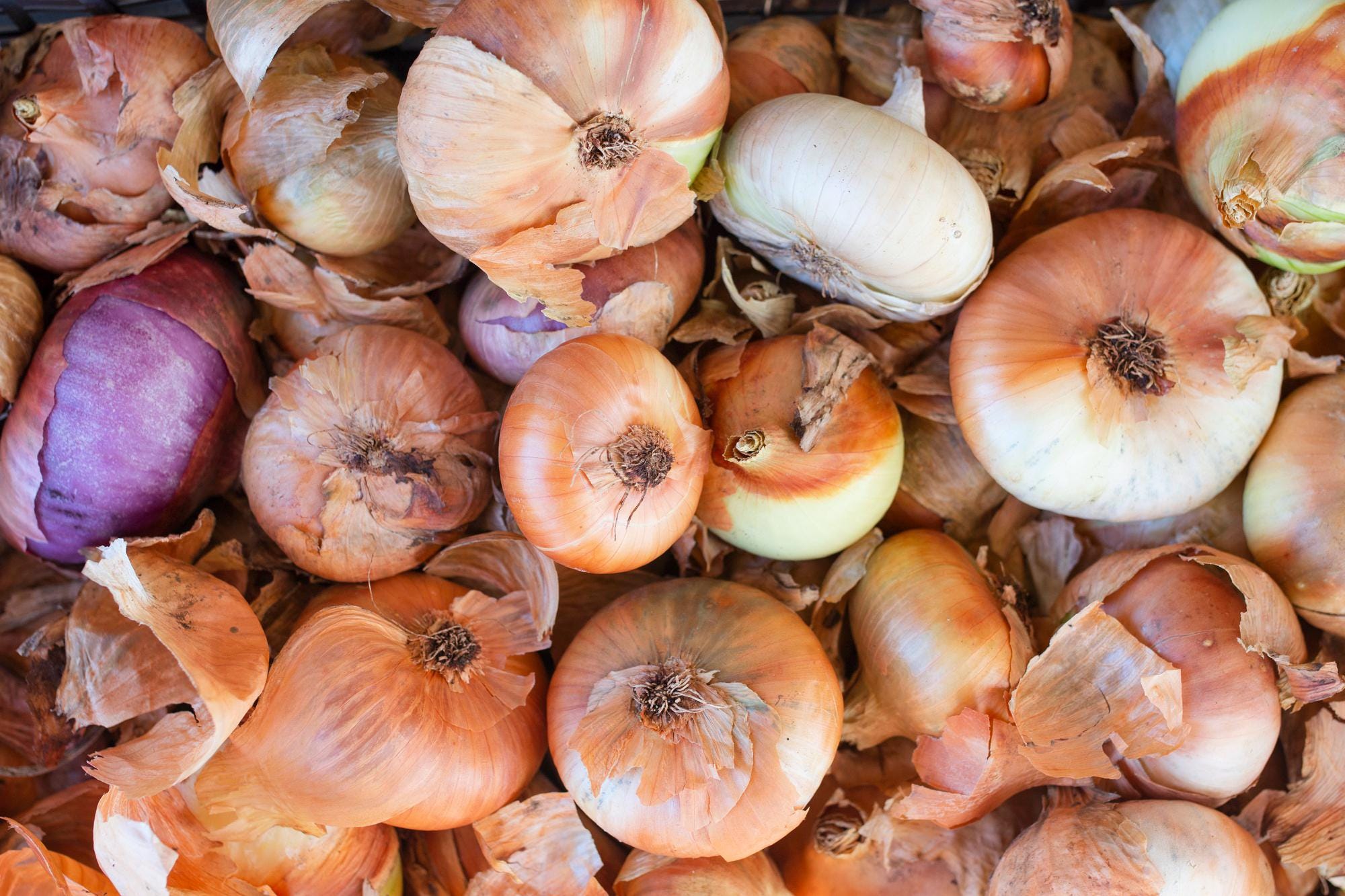 Dehydrated Onion Flakes