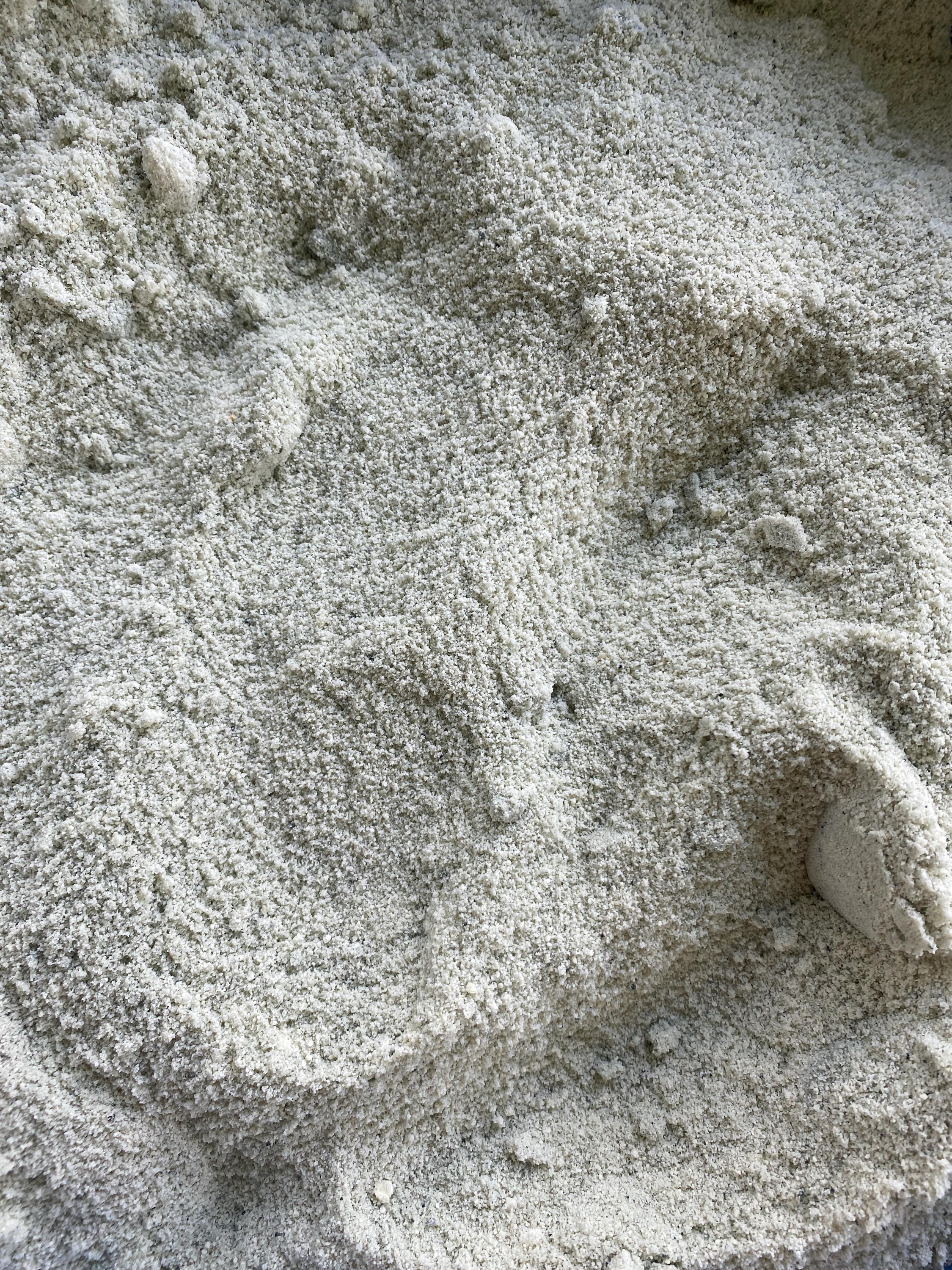 Freeze Dried Blue Cheese Powder