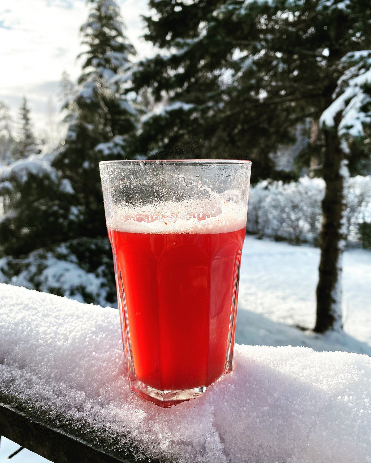 Cranberry Powder