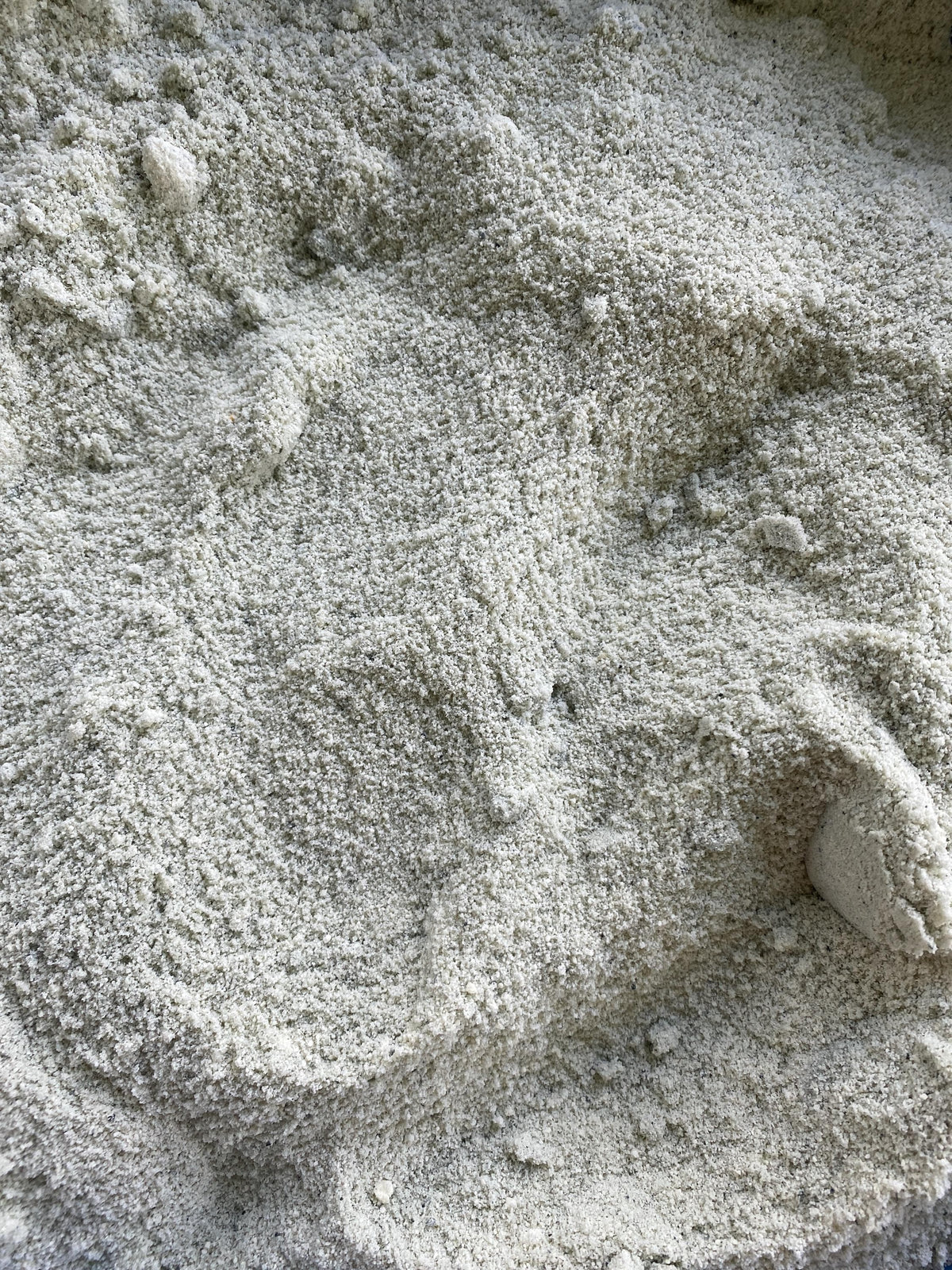 Freeze Dried Blue Cheese Powder